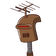 guest