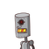guest